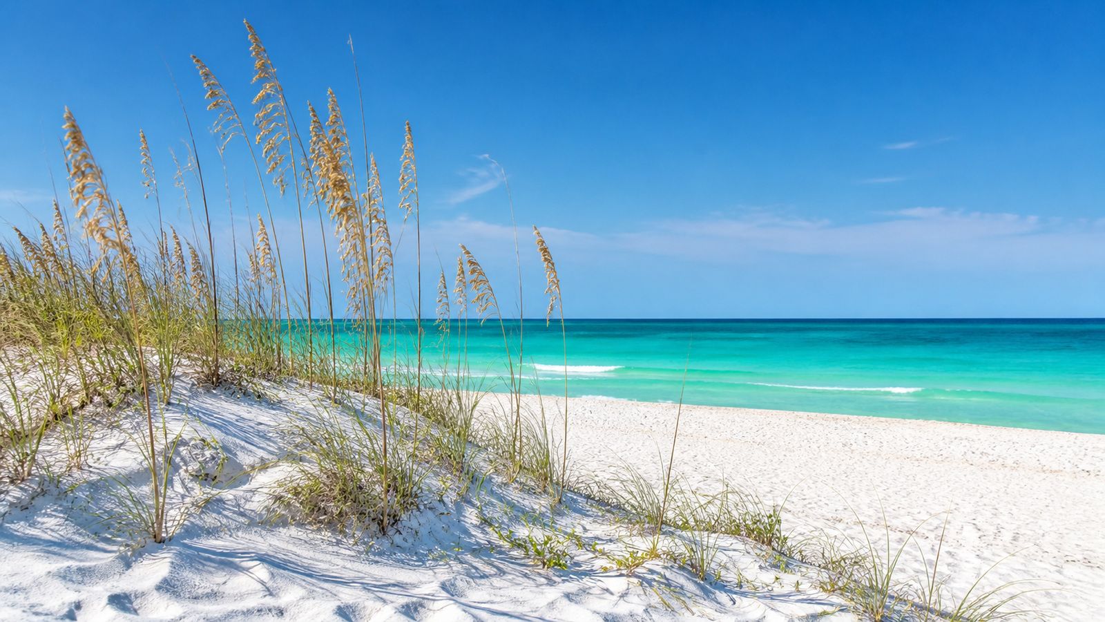 Pristine 30A Florida beach with white sand dunes topped by sea oats and crystal clear turquoise Gulf water in the background