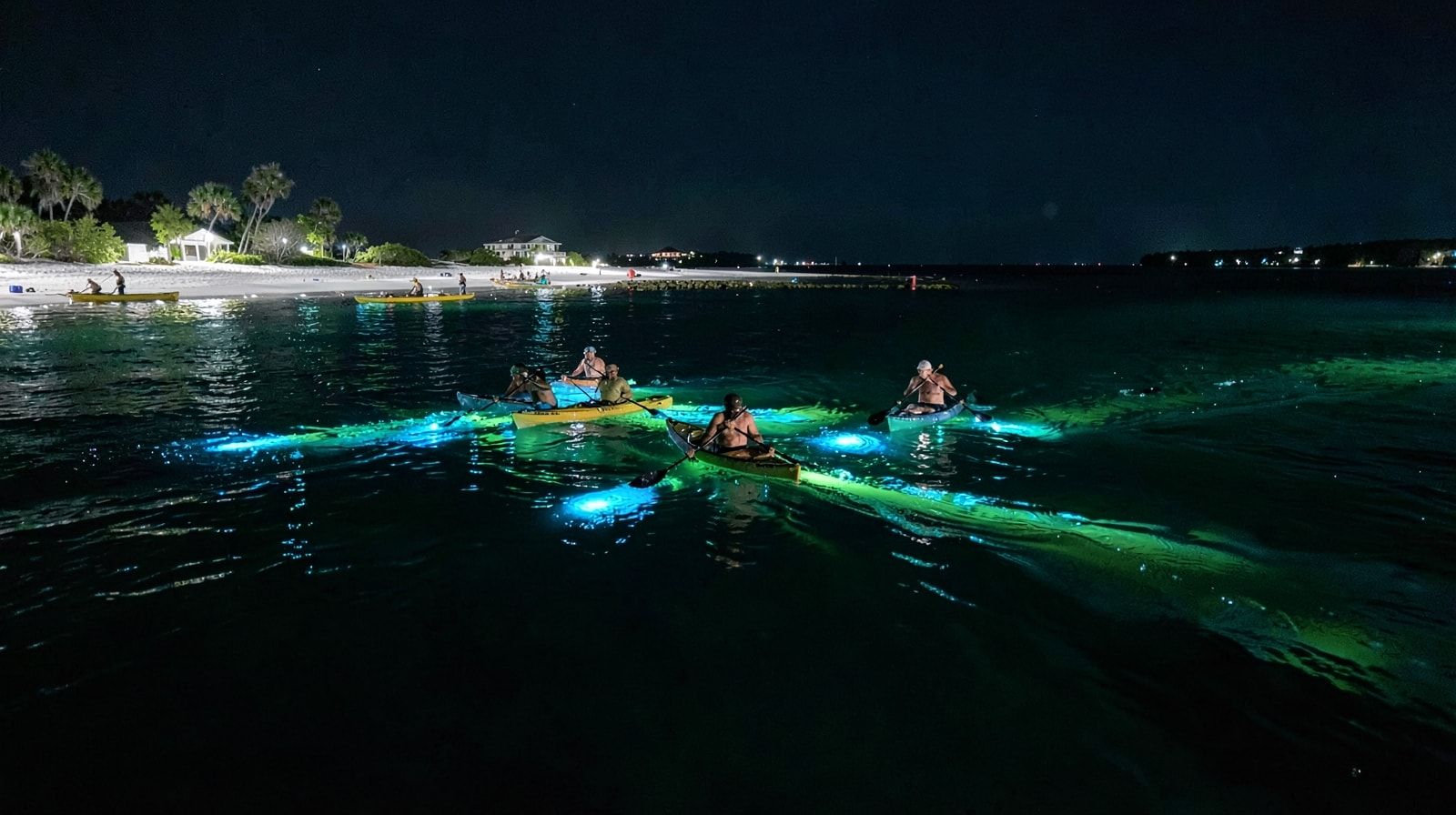 Small group of kayakers paddling single file through dark water at night with vivid blue-green bioluminescent glow trailing from every paddle stroke