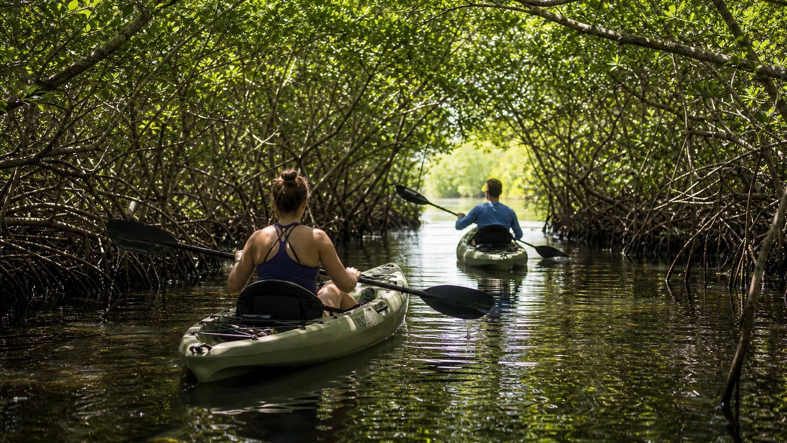 Two kayakers paddling through a mangrove tunnel on a calm Florida coastal waterway