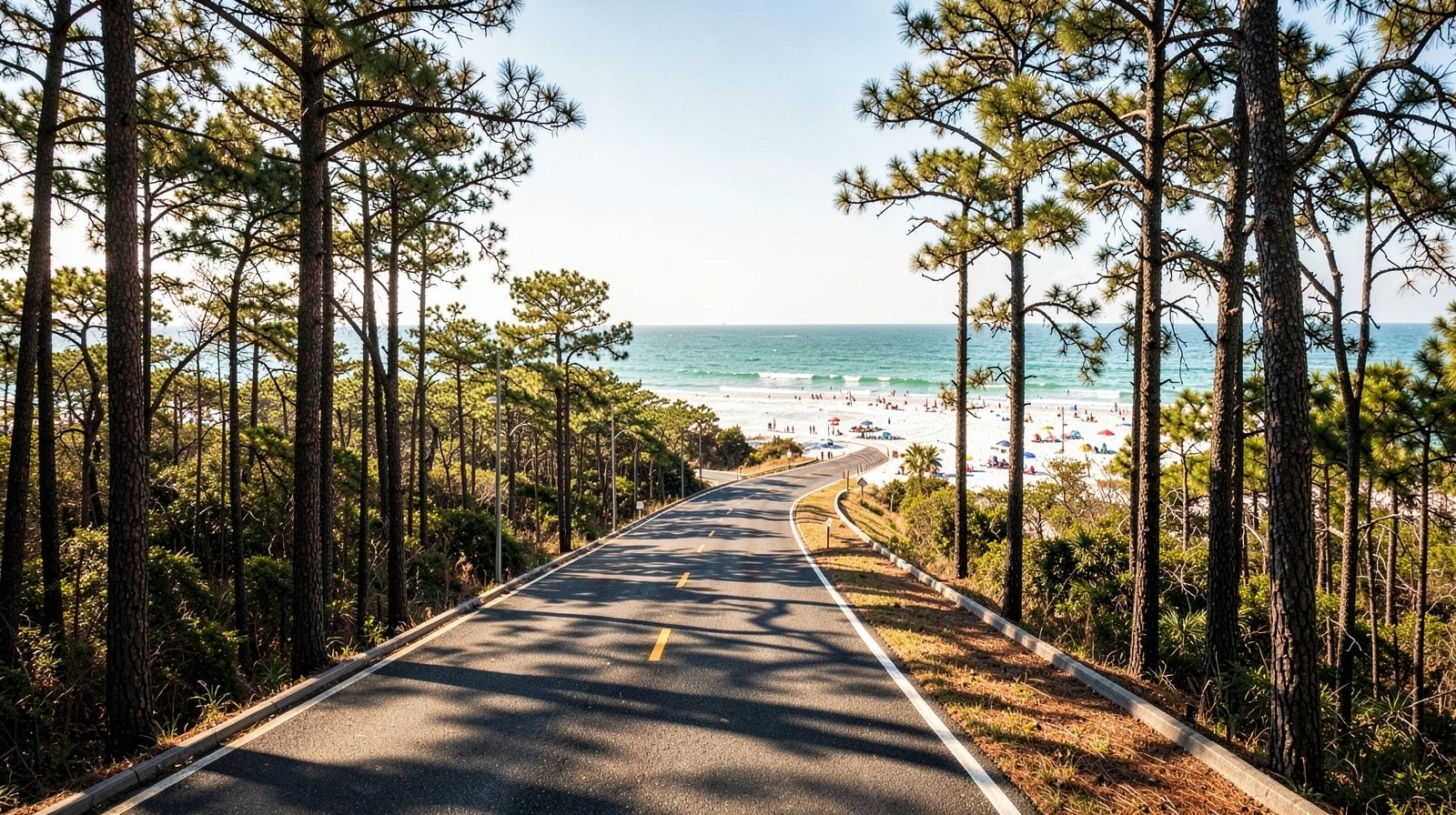 Long highway through southern US pine flatwoods on a road trip to the Gulf Coast