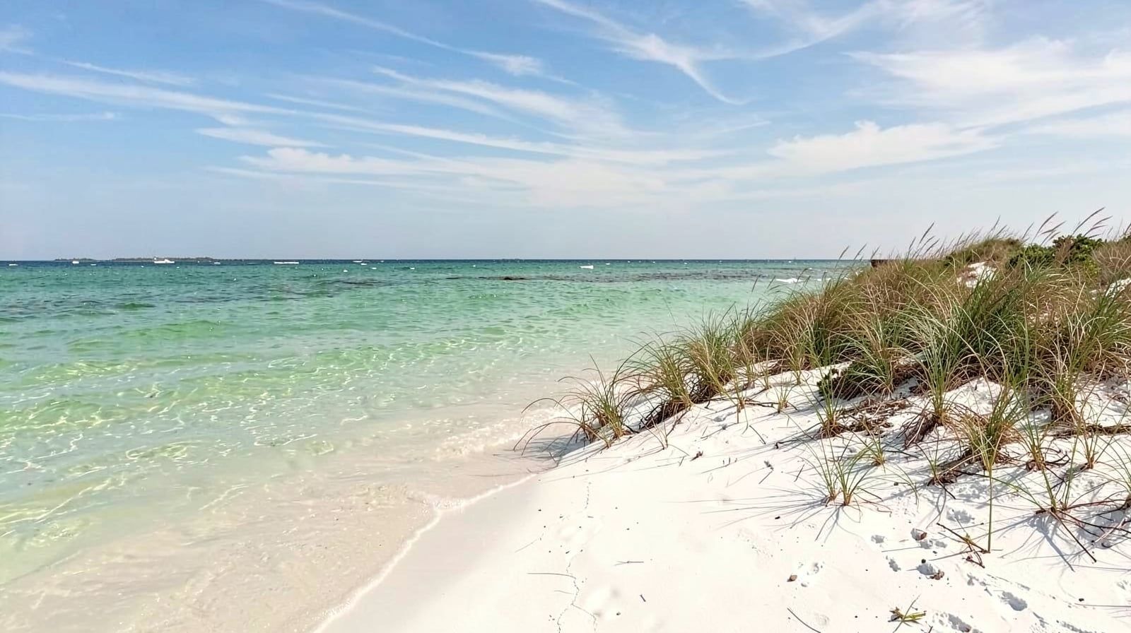 Warm calm emerald Gulf water lapping the sugar-white sand of a Destin Florida beach on a bright mid-June morning with sea oats on low dunes