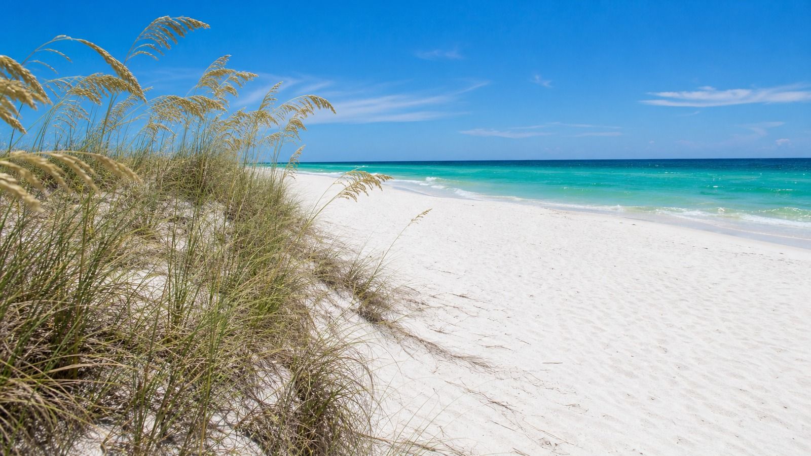 Unspoiled white sand dunes and sea oats at Gulf Islands National Seashore on Perdido Key Florida with crystal turquoise Gulf water