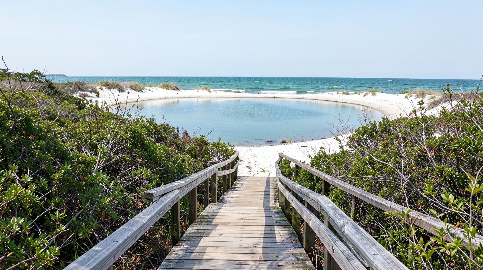 Wooden boardwalk trail through coastal scrub at Grayton Beach State Park Florida overlooking a coastal dune lake with white sand dunes and Gulf water visible in the background